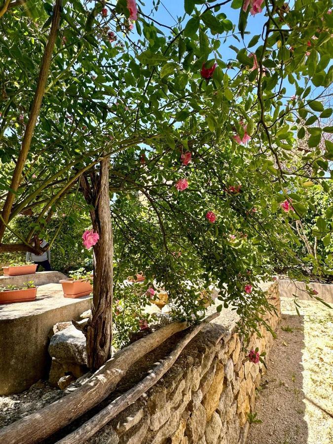 Clos De La Noria Pont-Saint-Esprit Esterno foto